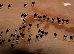 Picture Of The Day :: Illusions Of Arabia