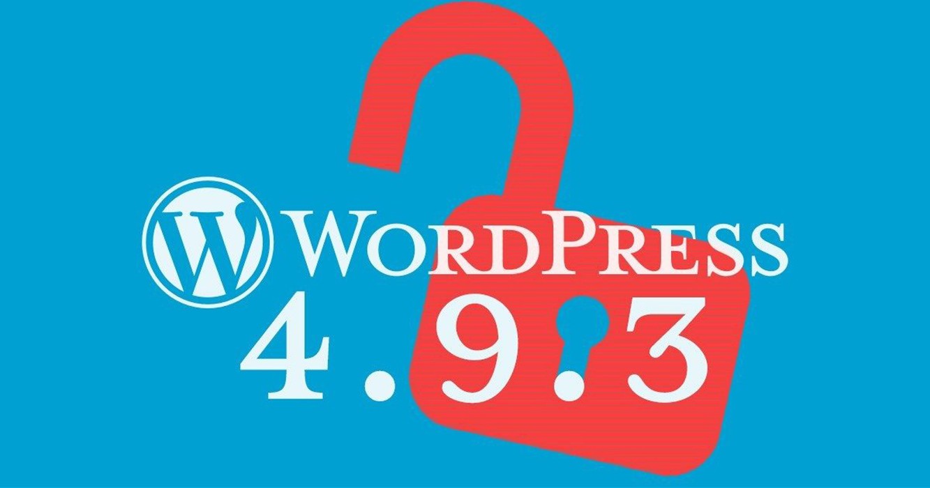 WordPress Update Bug